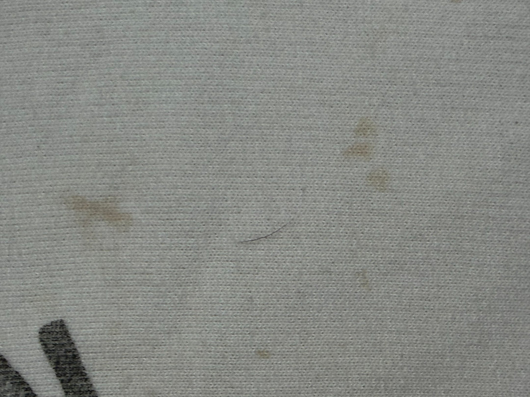 American Eagle USA Hoodie Men&