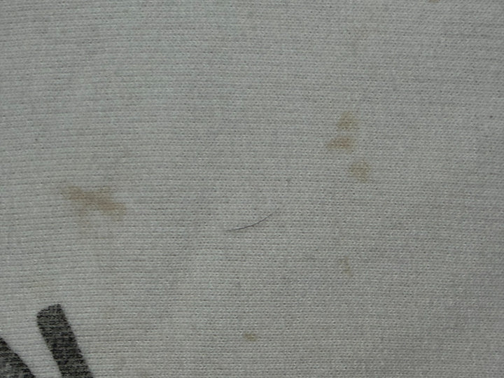 American Eagle USA Hoodie Men&
