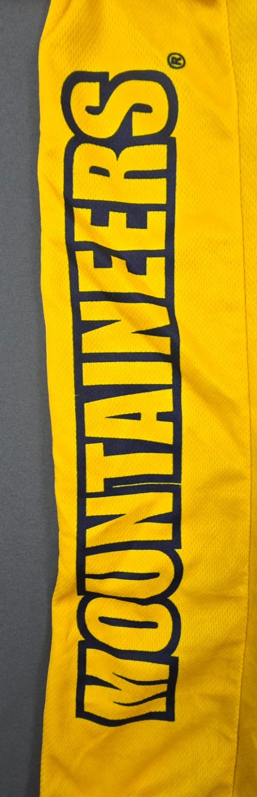 Adrenaline Promotions NCAA West Virginia Mountaineers Cycling Jersey Mens M Blue