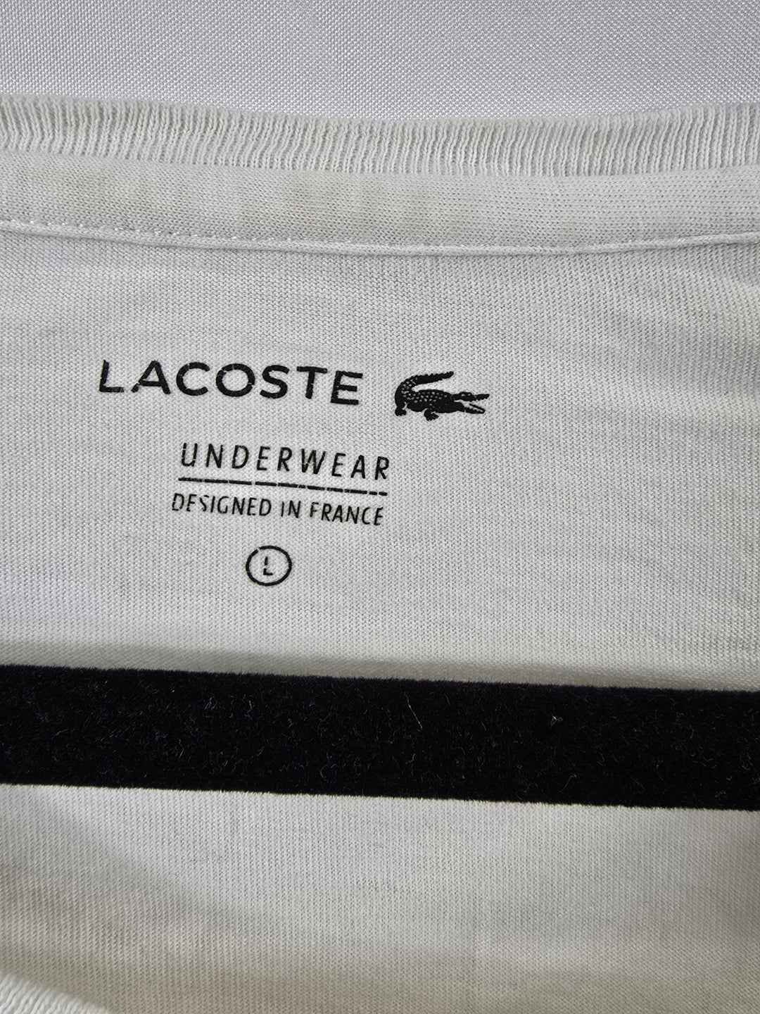 Lacoste Astronaut Graphic DAD Logo T-Shirt Men&